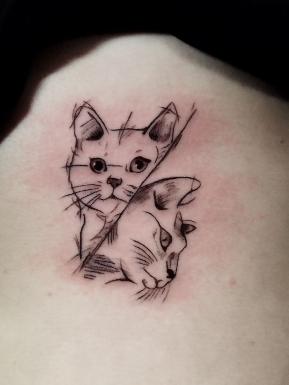 Katzen tattoo in schwarz künstlerisch auf auf Hüfte