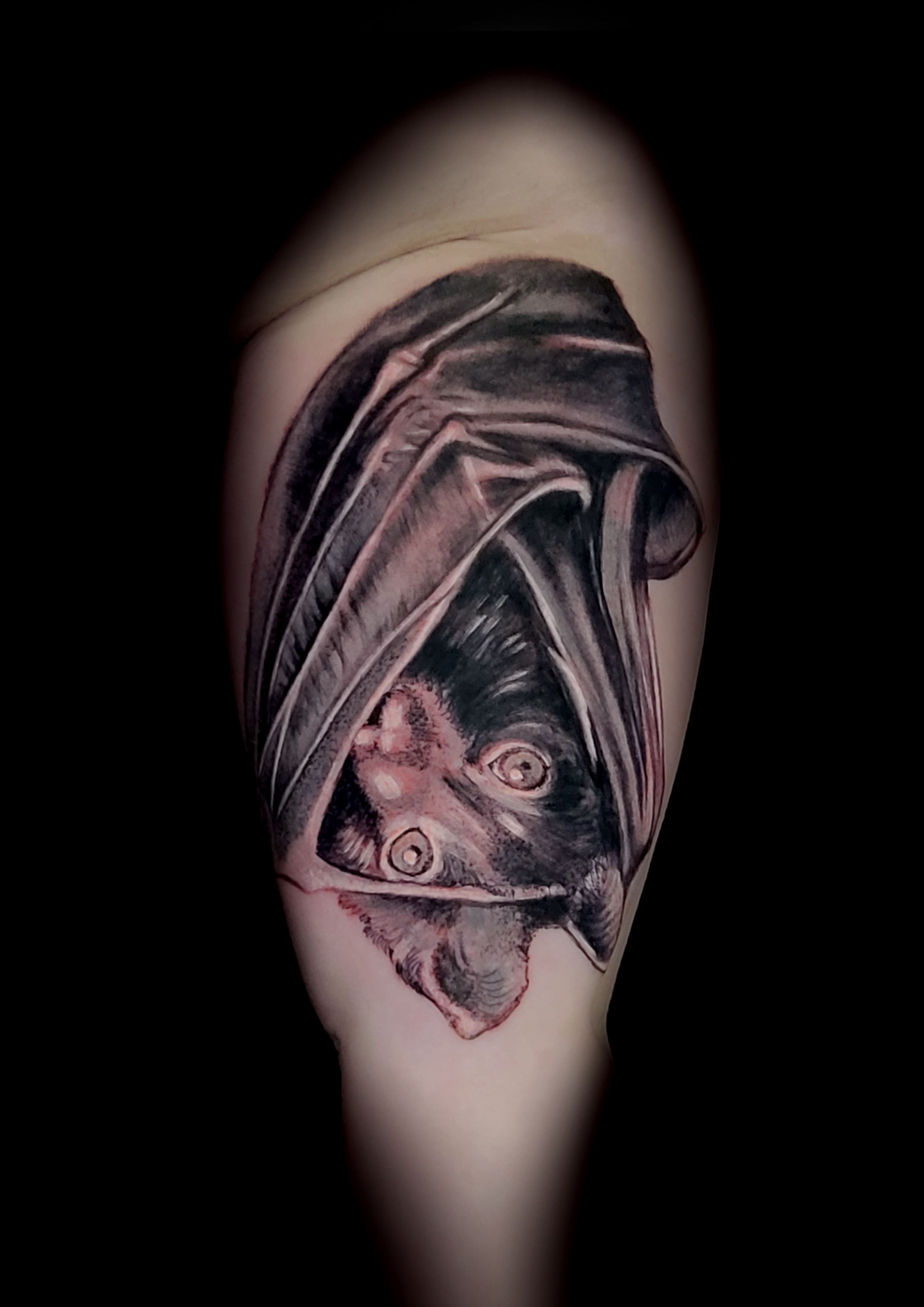 Schwarz Graues Tattoo von einem Flughund