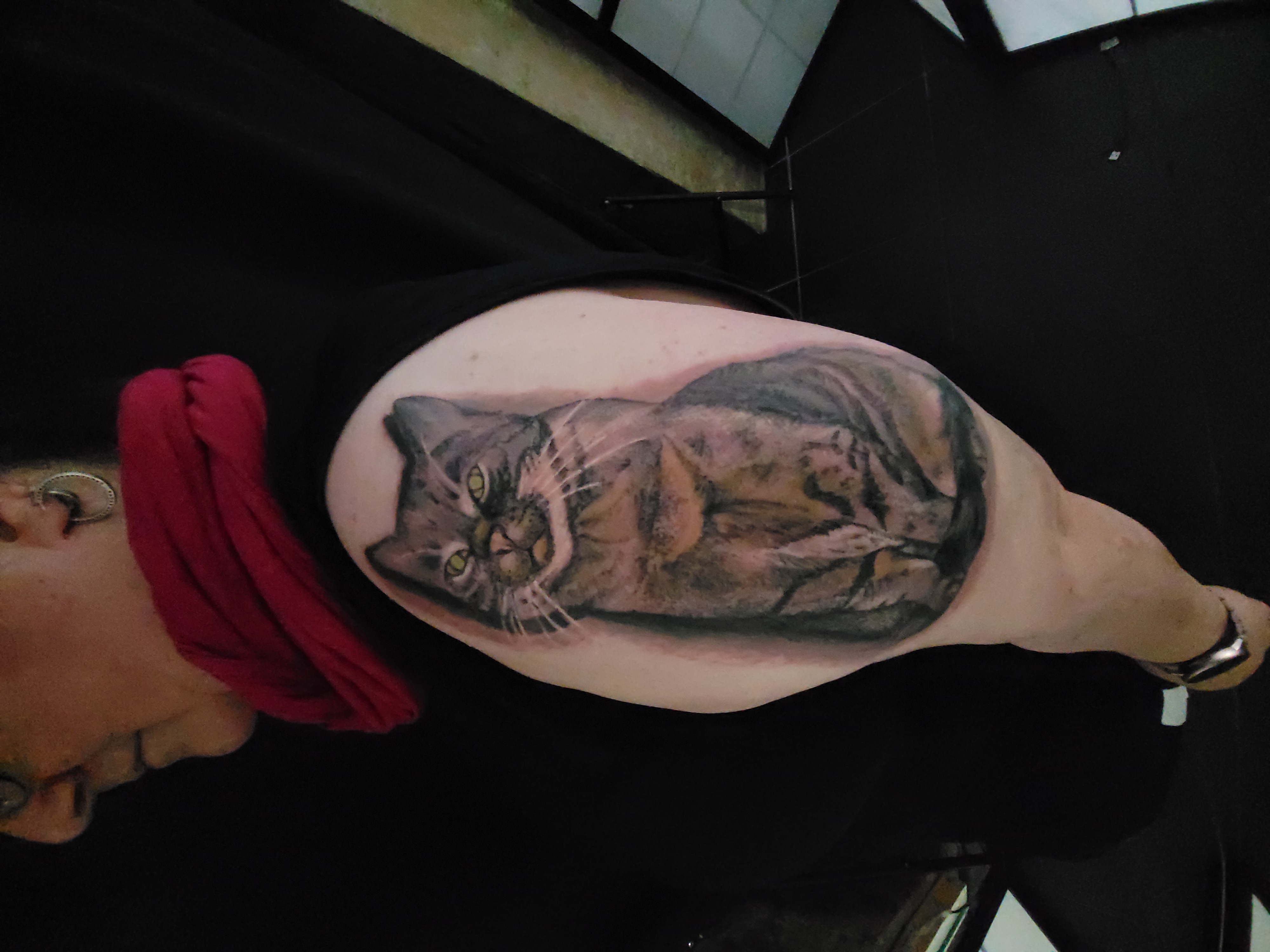 Tattoo von einem Portrait einer Katze auf dem Oberarm