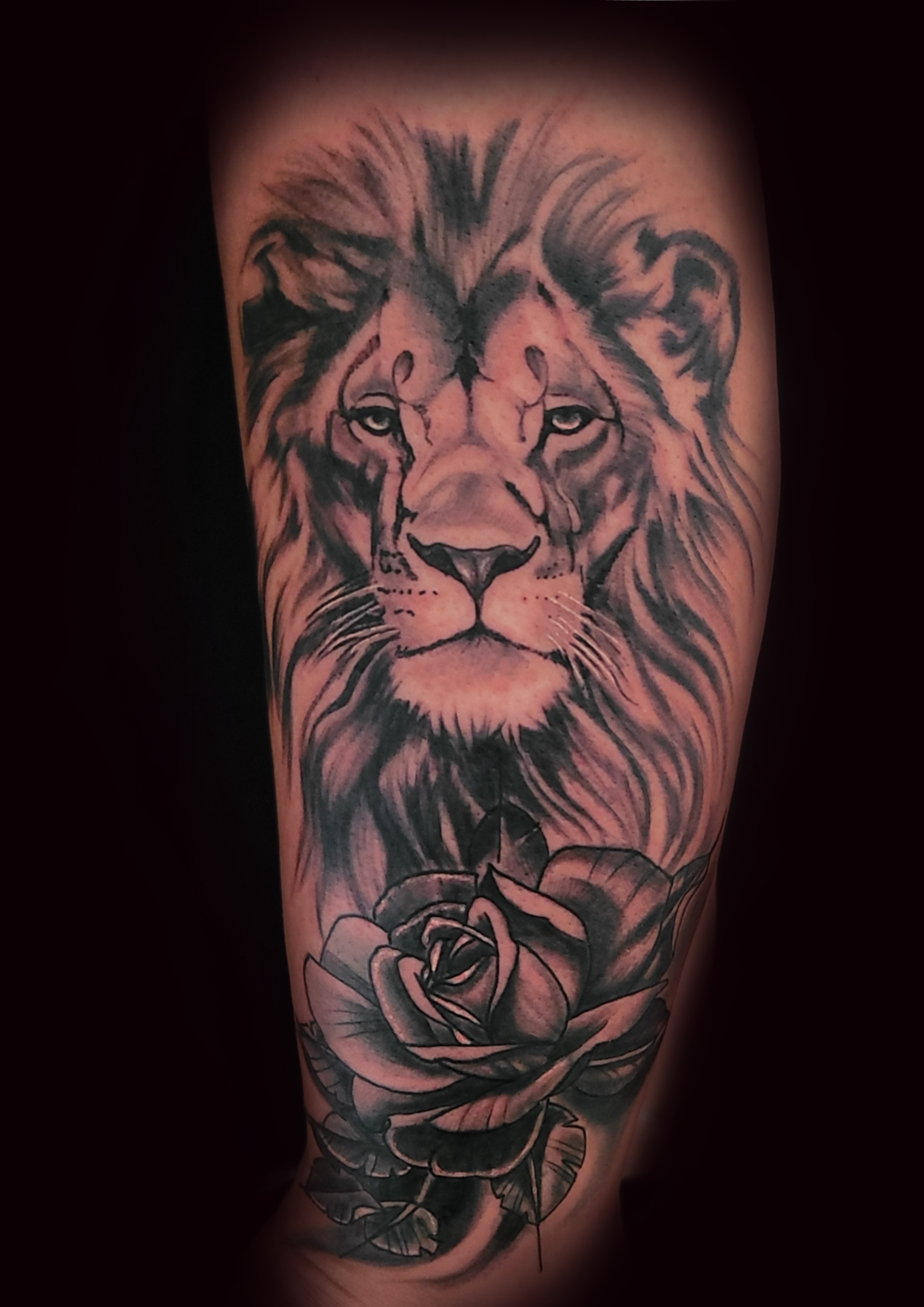 Tattoo von Löwe mit Rosen in schwarz grau auf Wade