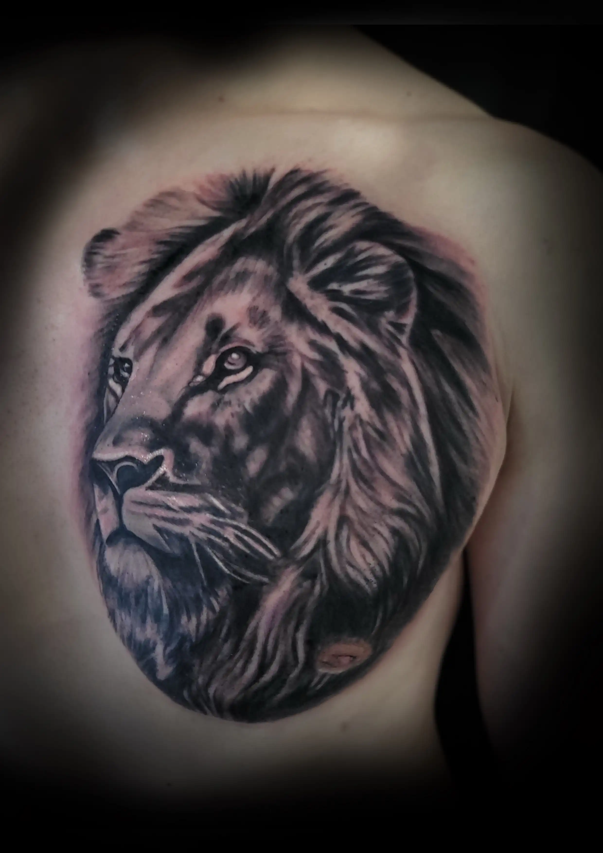 tattoo von Löwen mit Schatten