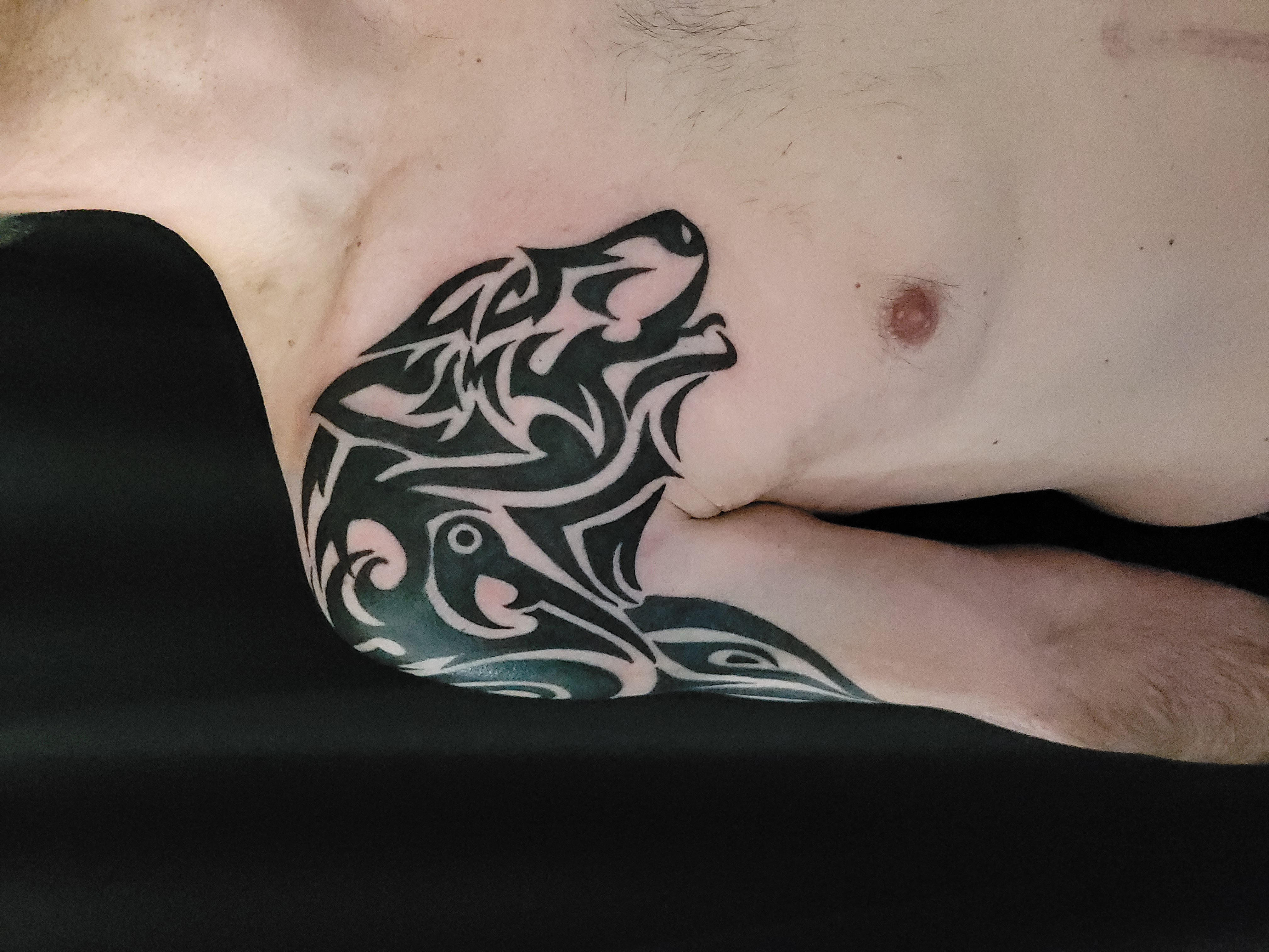 Tribal wolf Tattoo auf dem Oberarm  Schulter und Brust