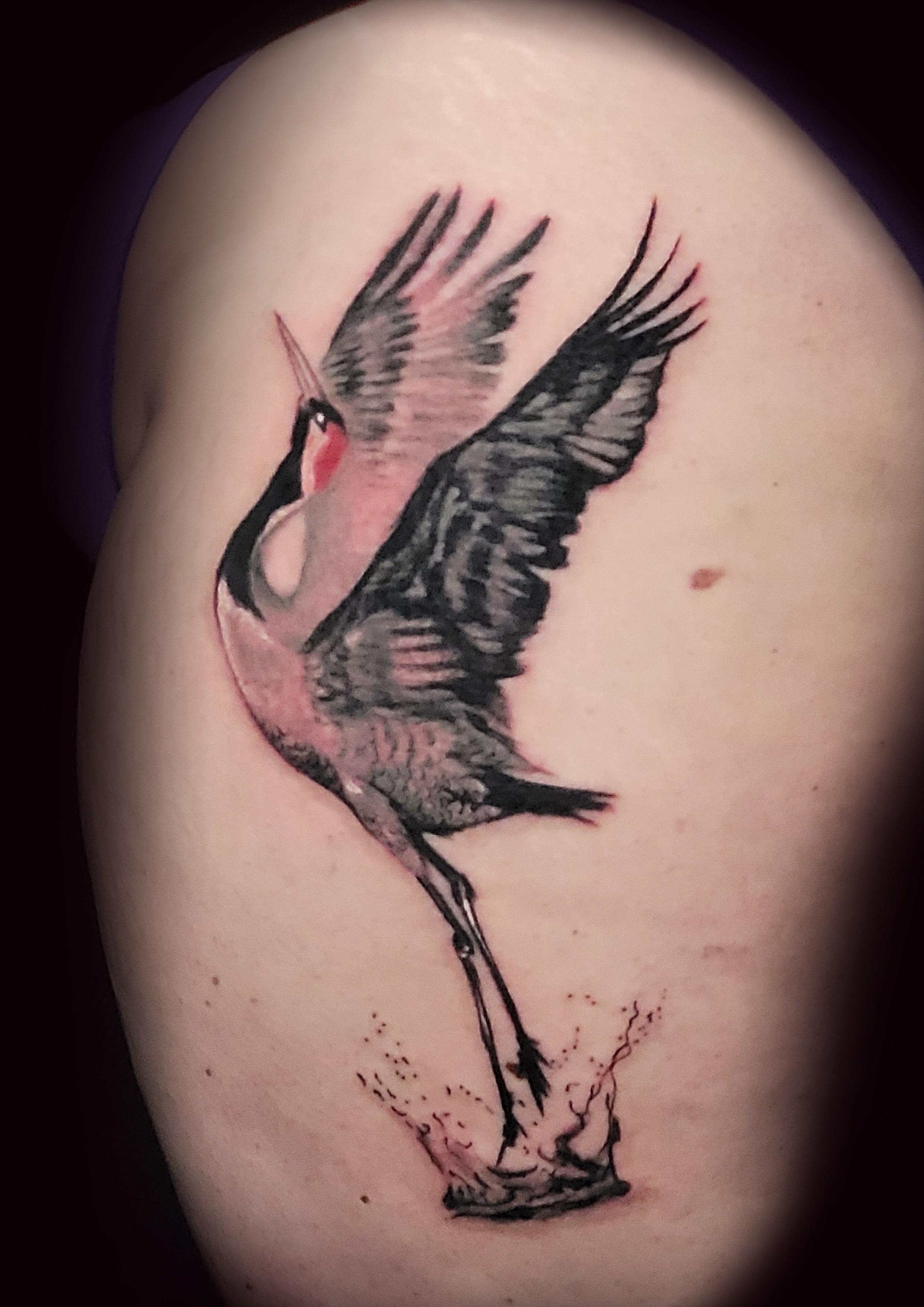 Tattoo von einem Vogel in Farbe